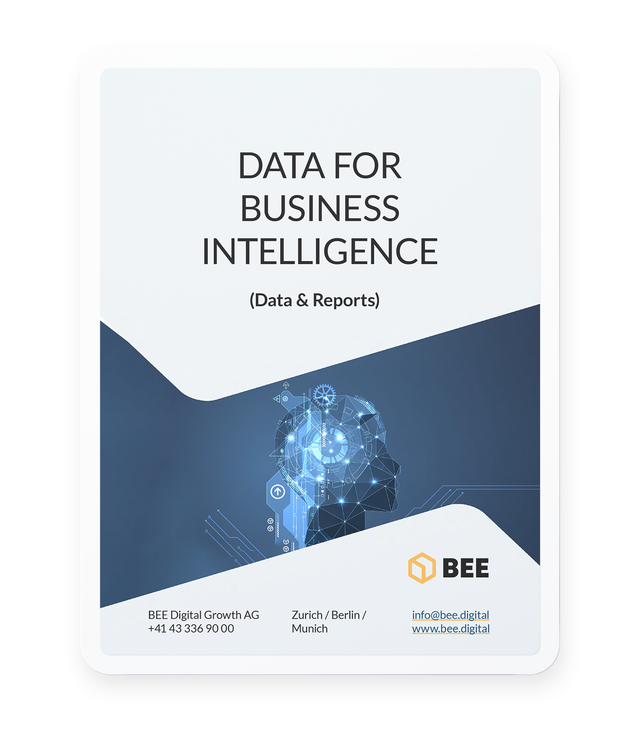 Data for Business Intelligence